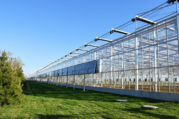 種植蔬菜用的溫室大棚有哪些性能對蔬菜生長起到良好的作用